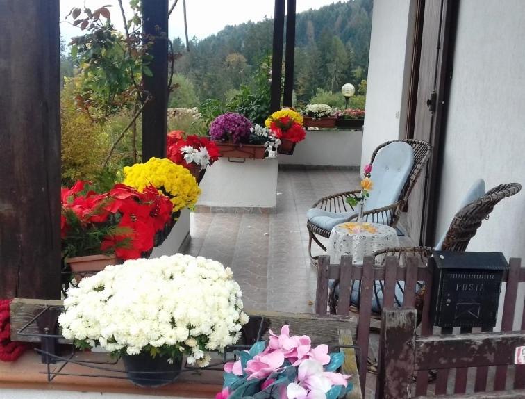 Villa Pineta Borno Esterno foto
