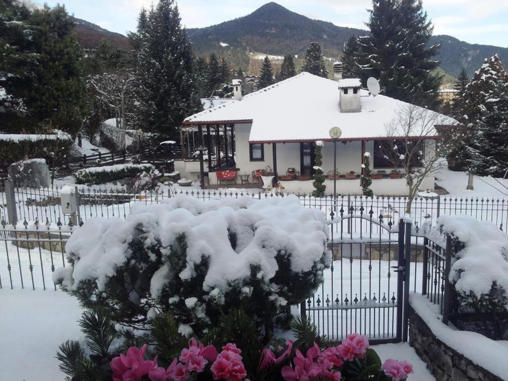 Villa Pineta Borno Esterno foto